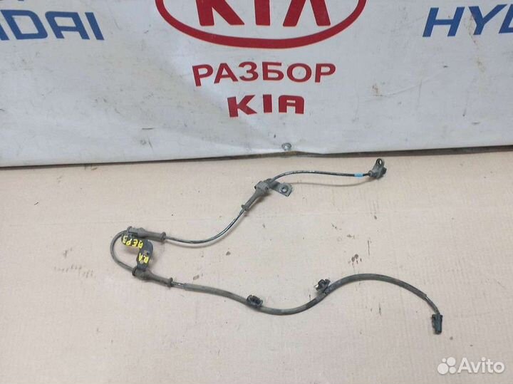 Датчик абс передний левый Киа Церато 3 YD