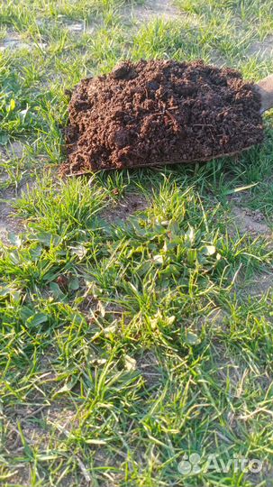 Торф в мешках