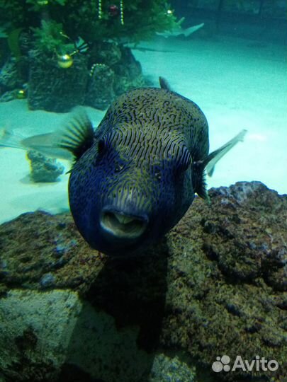 Билеты в Москвариум