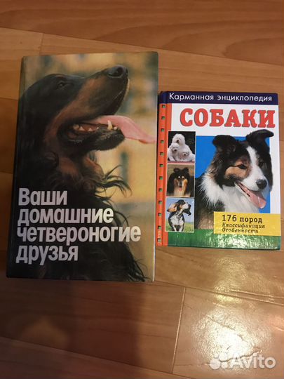 Книги про собак- детям и не только