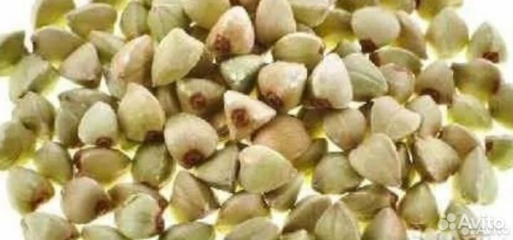 Зеленая Гречка, Лен, Нут, Семена Подсолнечника