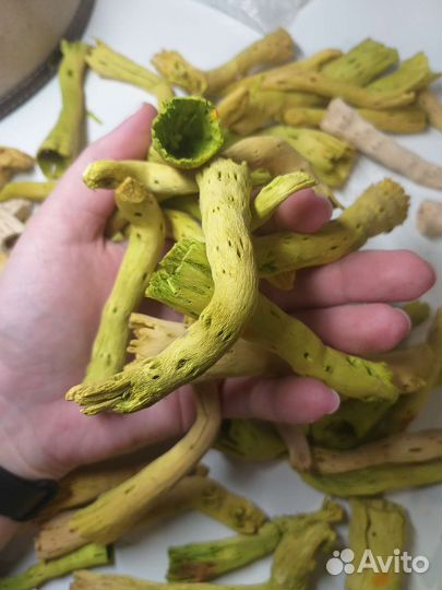 Сушеные ветки для декора