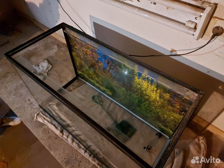 Аквариум
