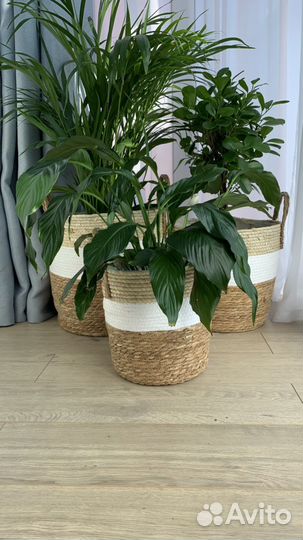 Кашпо напольное плетеное