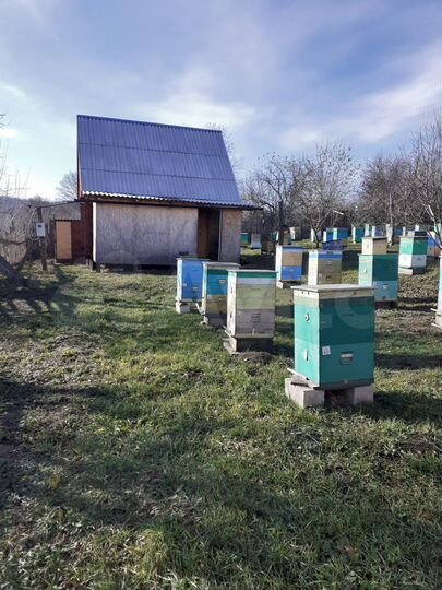 Дом 35 м² на участке 25 сот.