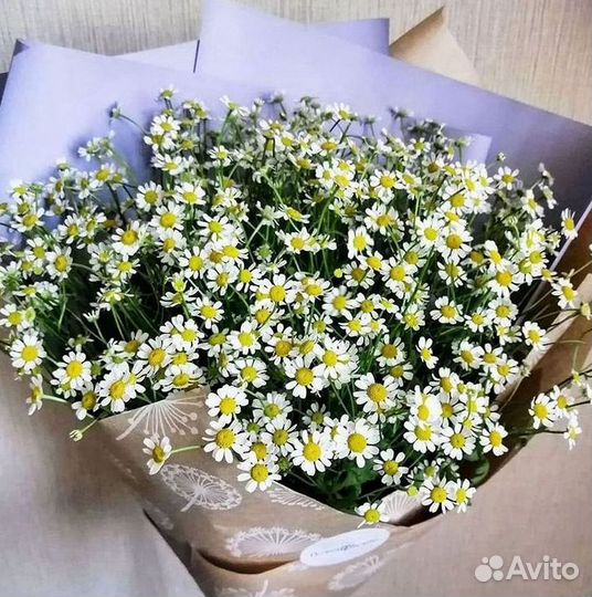 Ромашки Букет из ромашек доставка