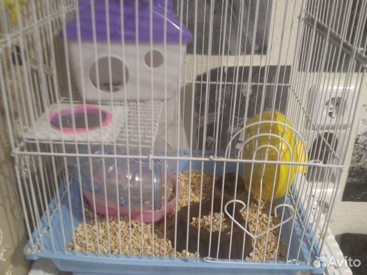 Клетка для хомяка