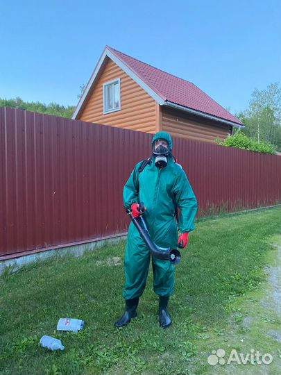 Уничтожение клопов тараканов Обработка от клещей