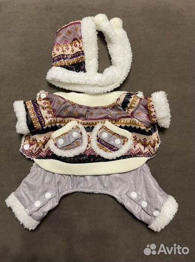 Одежда для собак