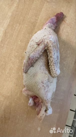 Утка домашняя мясо