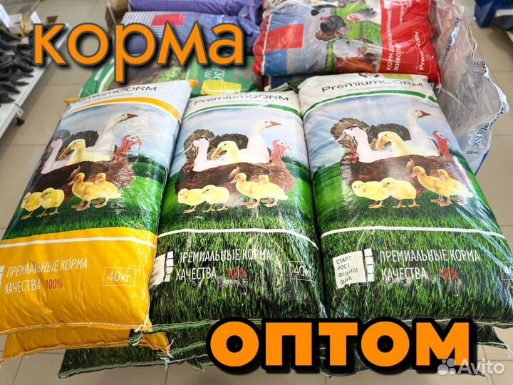 Комбикорм оптом