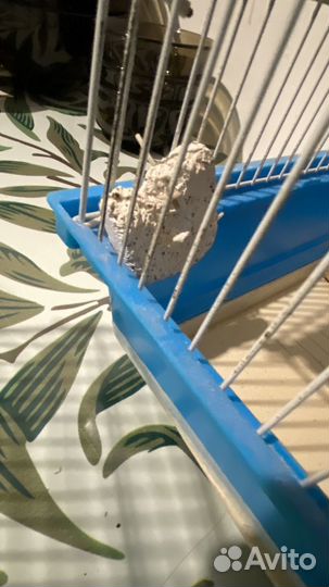 Две клетки с аксессуарами комплектом