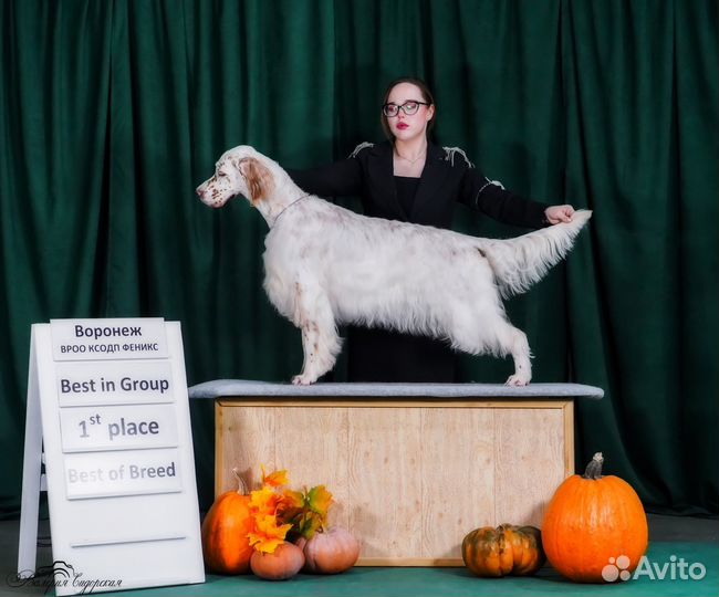 Хендлер Воронеж