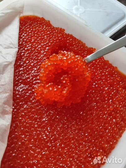 Красная Икра Кеты