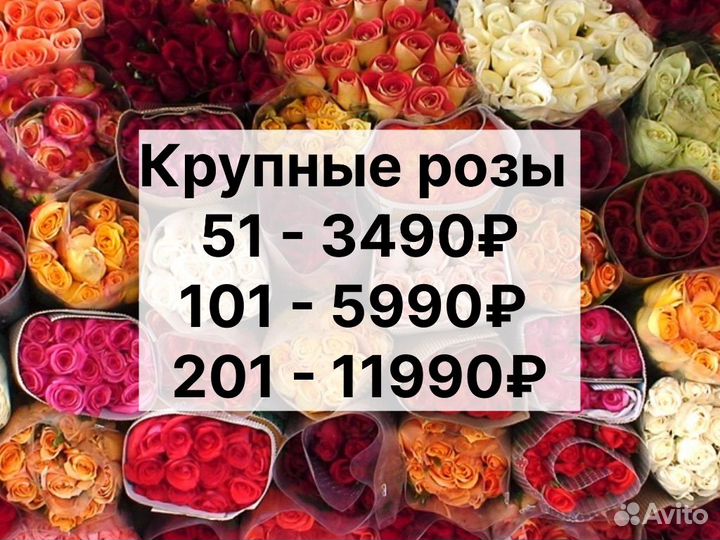 Цветы букеты 101 роза