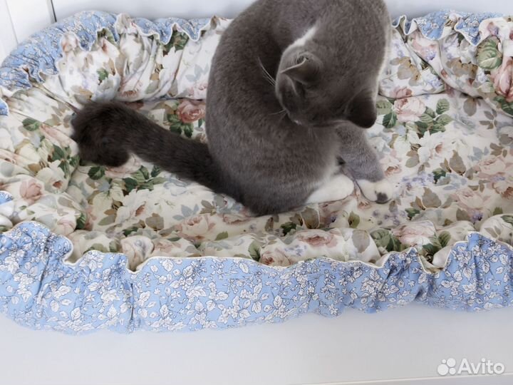 Лежанка для кошек или собак