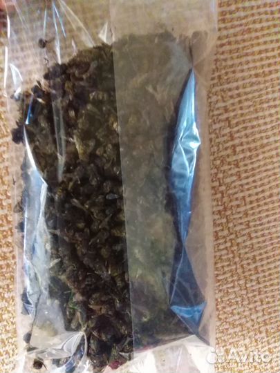 Пчелиный подмор