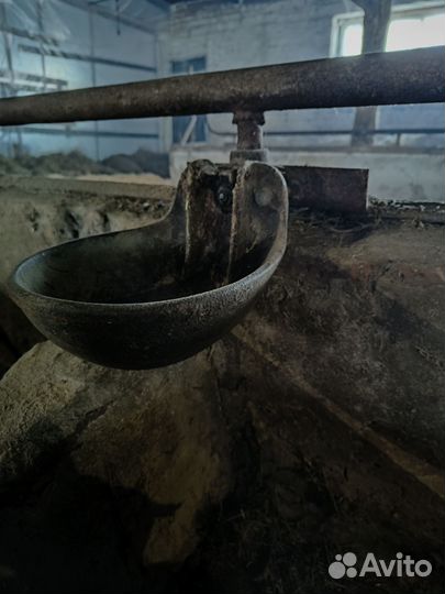 Поилки для крс