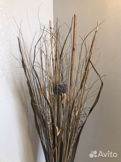 Декоративный куст сухостой