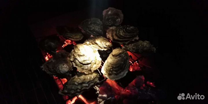Гастрономический тур