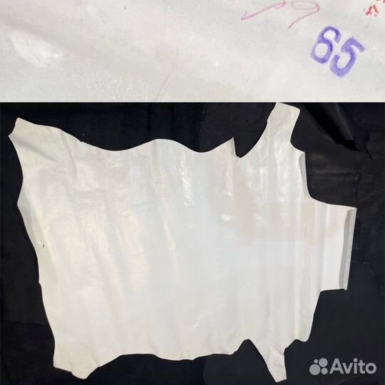 Кожа свиная цветные шкуры