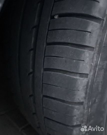 Калеса пауки