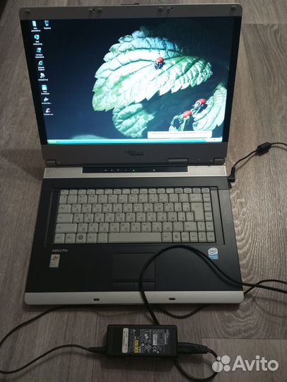 Ноутбук fujitsu Siemens amilo pro v3515