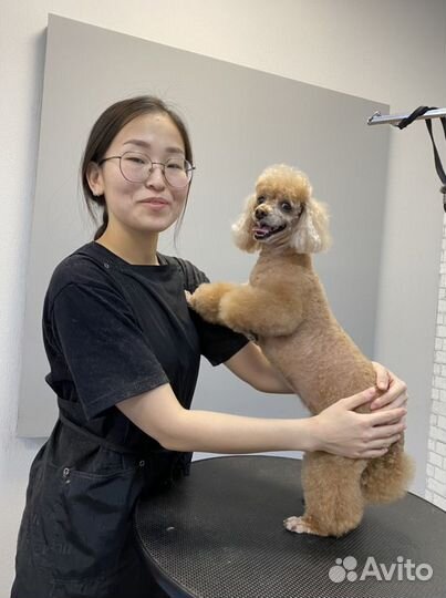 Обучение основам груминга