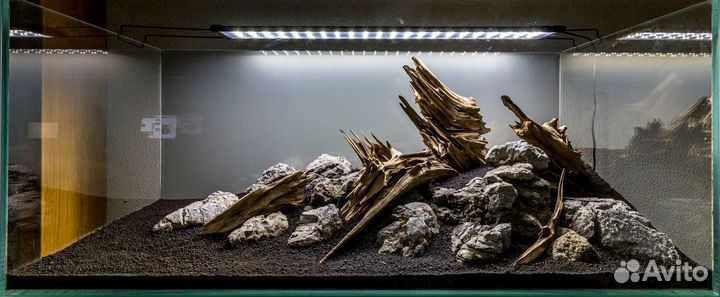 Аквариумы Дизайн обслуживание запуск аквариумов