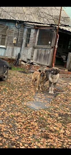 Дом 70 м² на участке 15 сот.