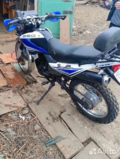 Рейсер 250