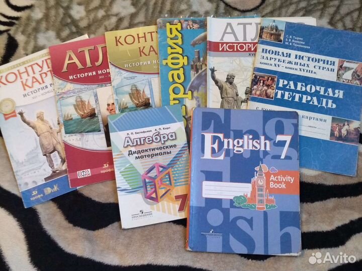 Школьные учебники