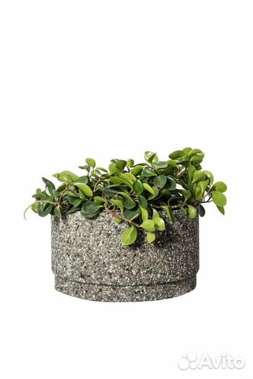 Изделия из бетона в наличии и на заказ