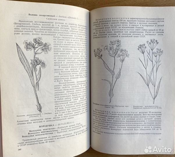 Книга «Лекарственные растения» Землинский 1958