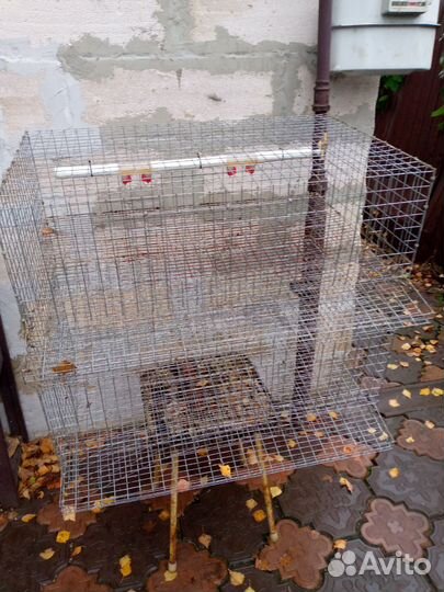 Клетки и брудера для перепелов бу