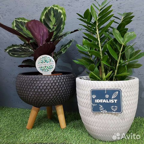 Кашпо idealist для комнатных растений