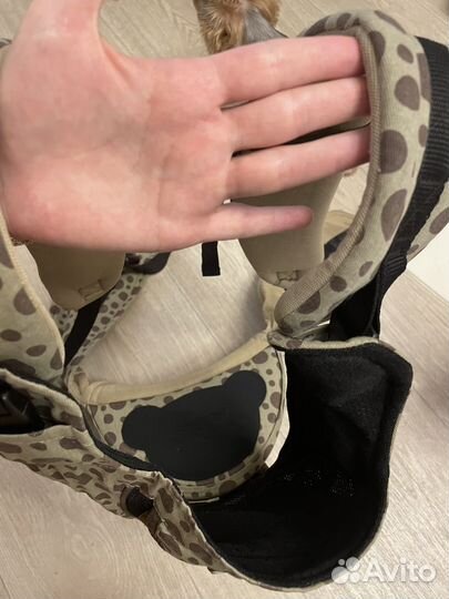 Эргорюкзак хипсит