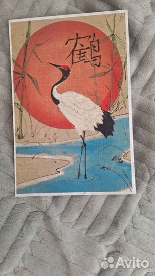 Канашибари 1 том с открыткой