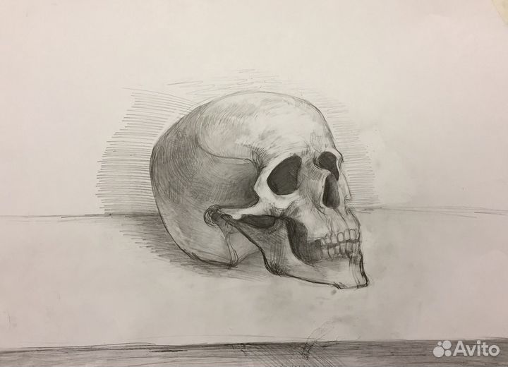 Репетитор по живописи рисунку