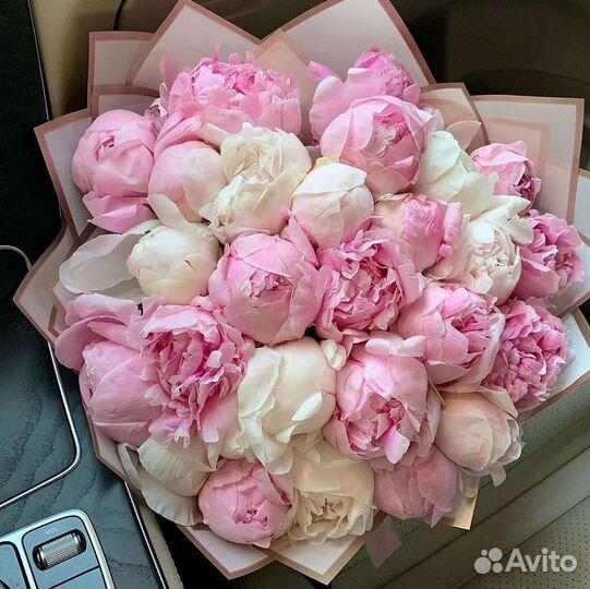 Пионы Букет пионов