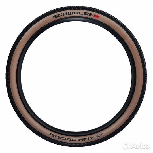 Schwalbe racing RAY Evolution Line 29