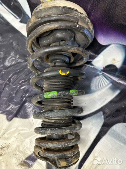 Амортизатор задний Nissan Primera P11 2000