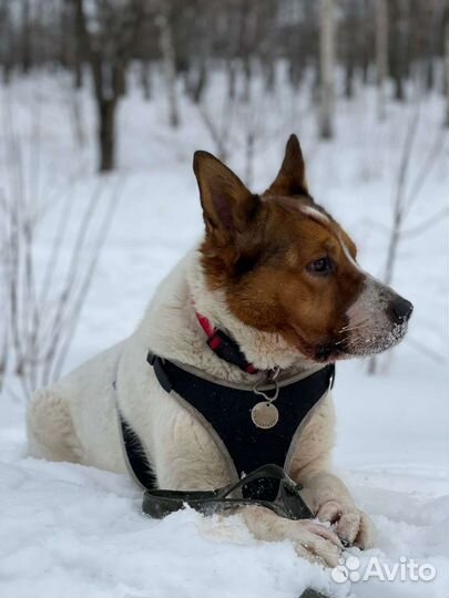 Такая булочка пропадает
