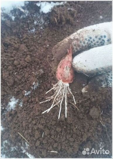 Привлекаем инвестиции в сельское хозяйство