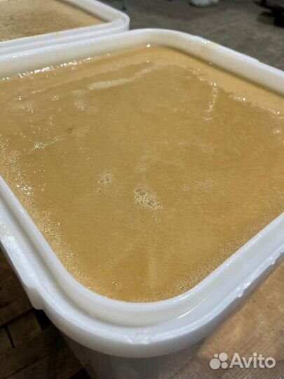 Мед оптом разнотравье свежий