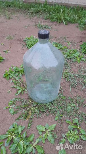 Бутыль стеклянная 20 литров