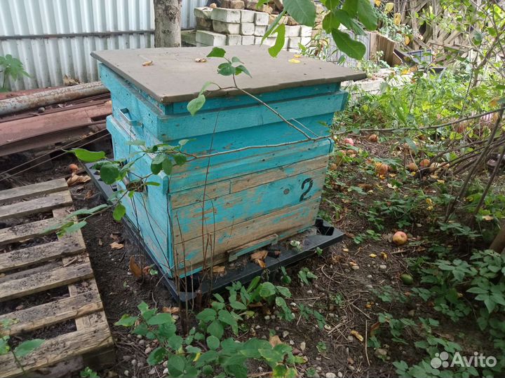 Улей для пчел