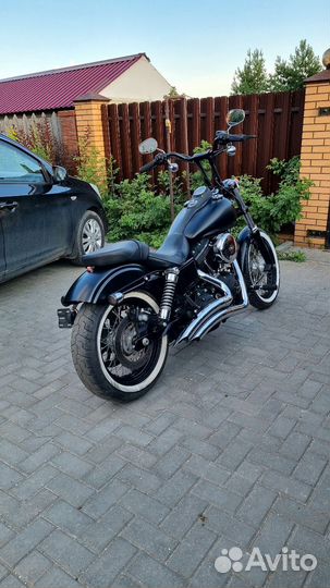 Harley davidson street bob