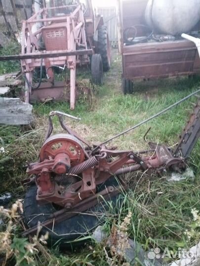 Сенокоска сегментная