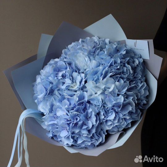 Гортензии цветы букеты